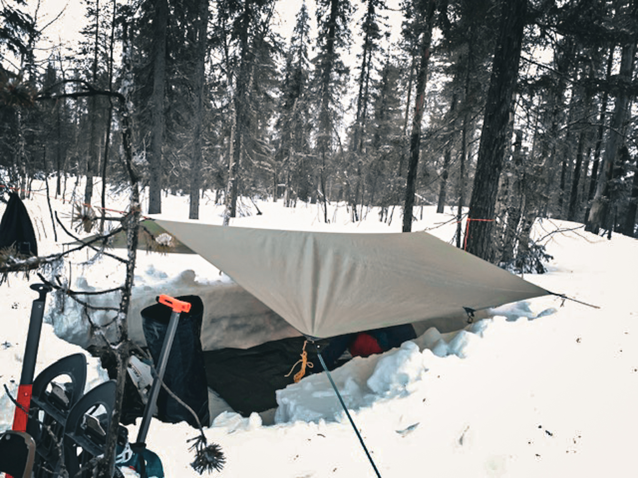 Wilderness Guide Ausbildung Wilderness Guide Ausbildung